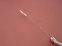 Extra long handled Brush