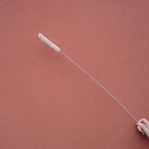 Extra long handled Brush