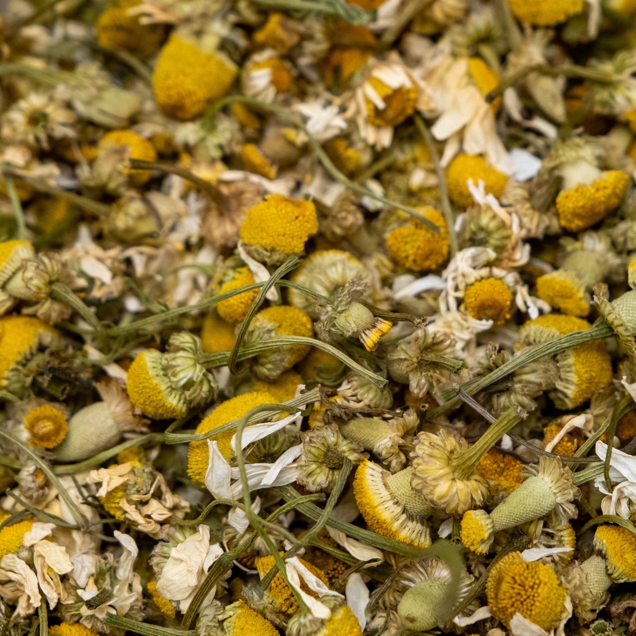 Chamomile Flowers Dried 25g BB May 2024 The Malt Miller