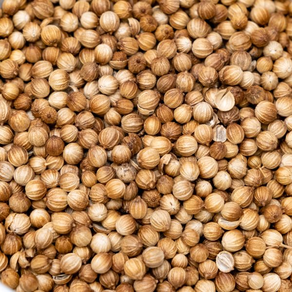 Coriander