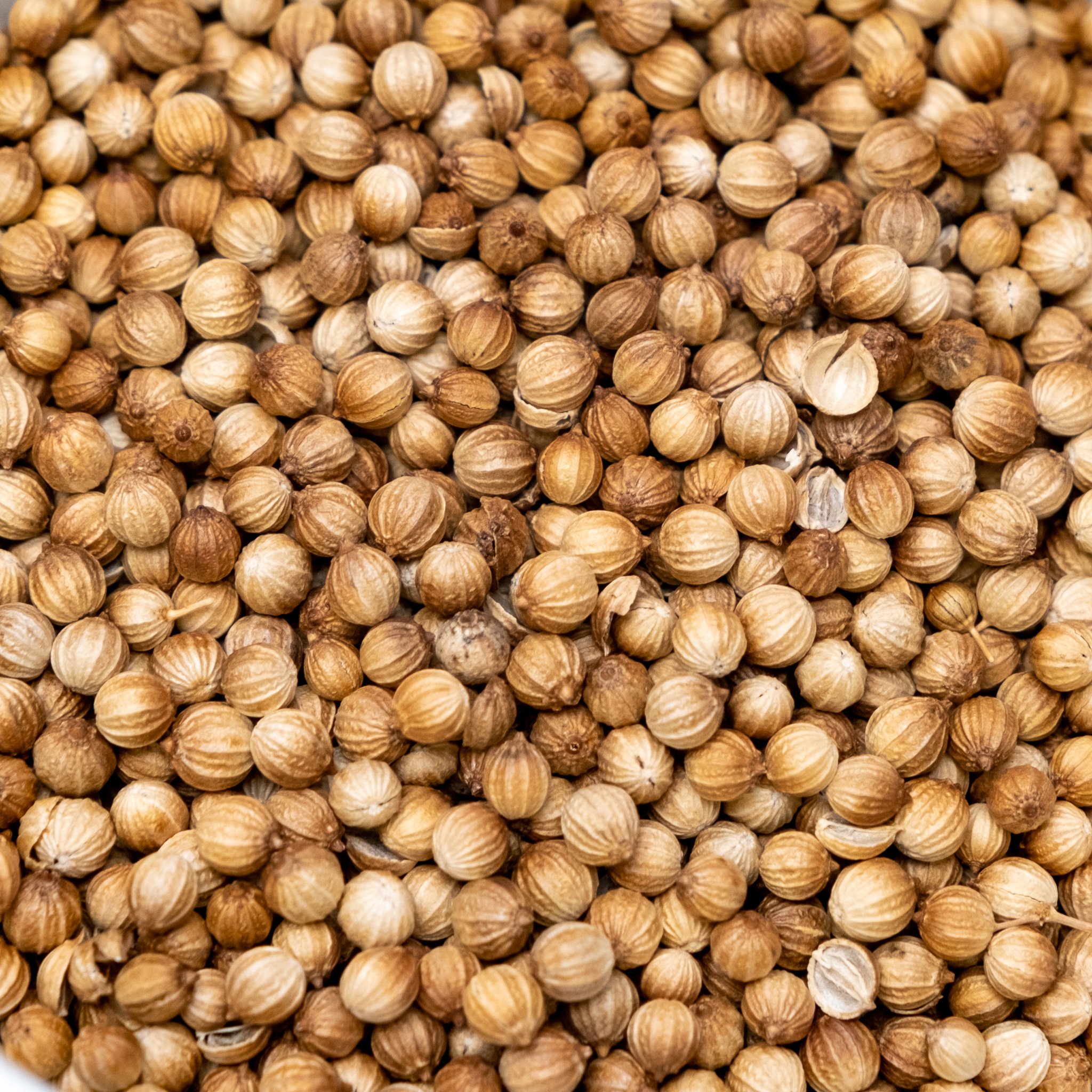 Coriander Seed 500g The Malt Miller