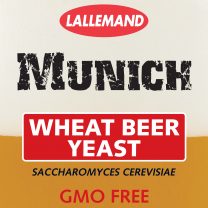 munich.pdf-208x208