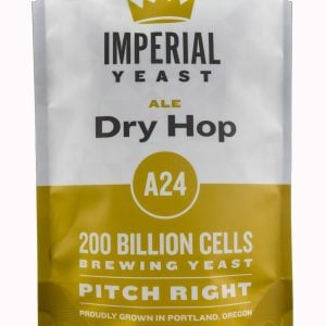 A24frontwhite