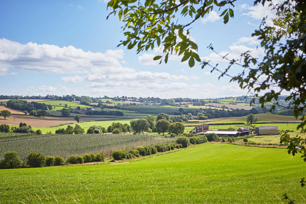 Brook House fields - The Malt Miller