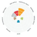 LalBrew_New_England_Flavor_Wheel-300x300 - The Malt Miller