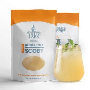 WLP600 Kombucha SCOBY BB: 06/06/2026