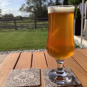 Citrus IPA