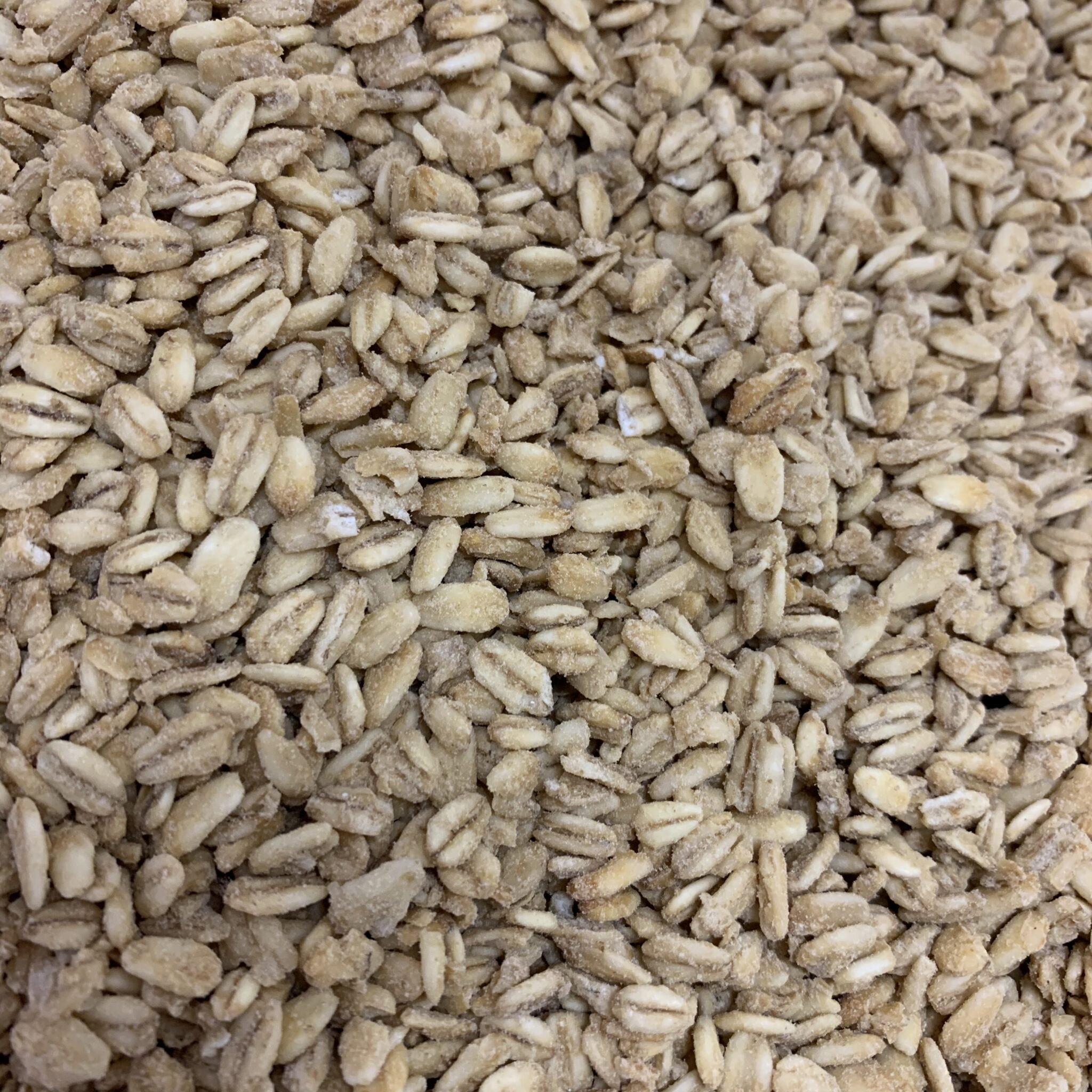 TMM Toasted Malted Oats Flakes