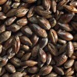 Roasted malt