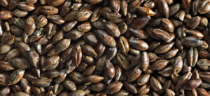 Simpsons Black Malt Roasted malt