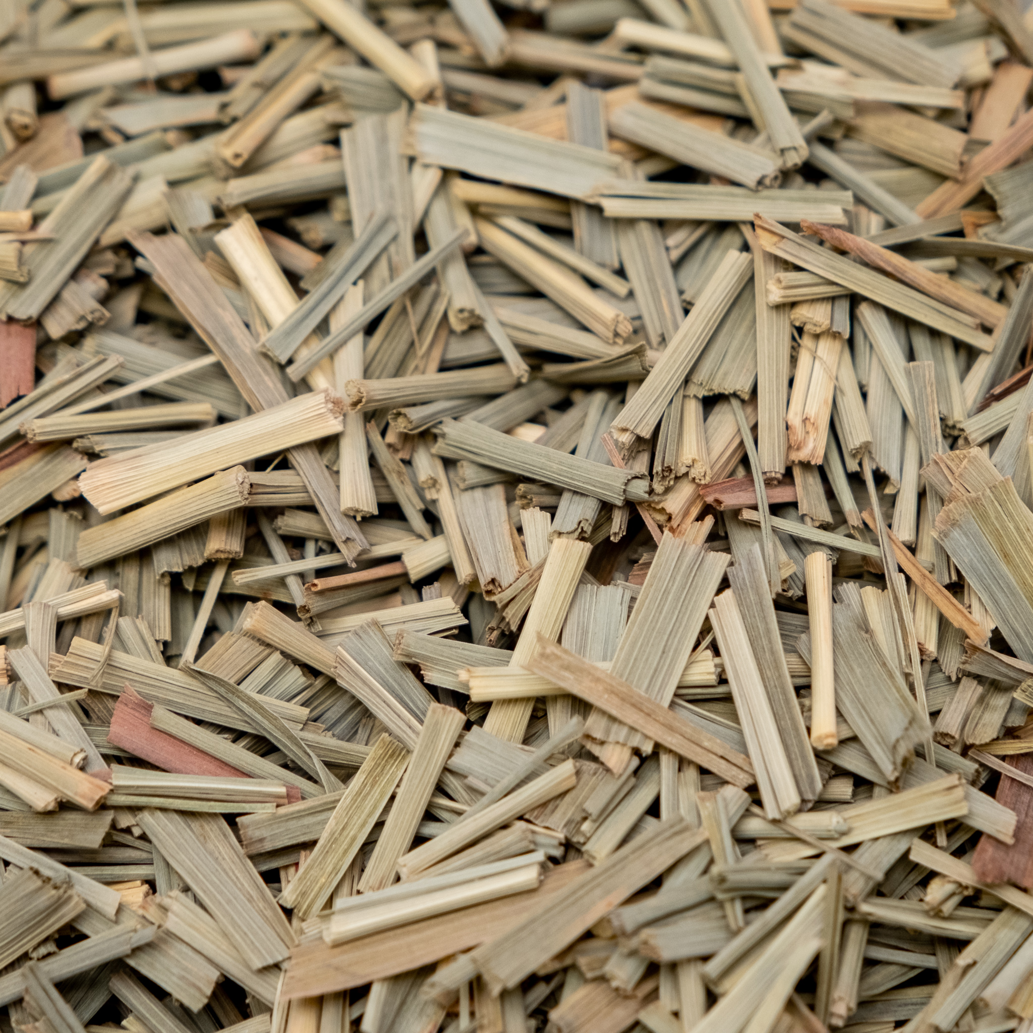 Dried Cut Lemon Grass 50g BB 31/11/2023