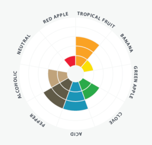 Flavors-wheel-300x287 - The Malt Miller