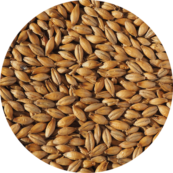 Malt-Single_Premium-Pot-Still-Malt-796-x-796