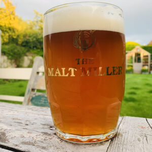 Pint of cask bitter