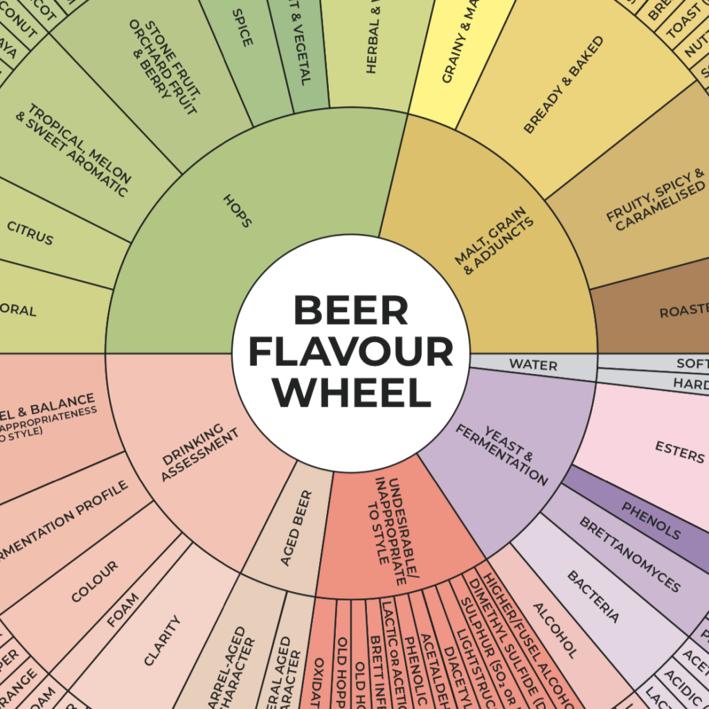 BeerDredge Beer Flavour Wheel Poster A2 The Malt Miller