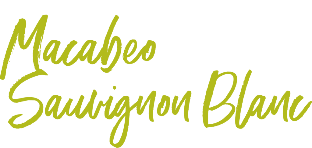 Sauvignon Blanc_Type