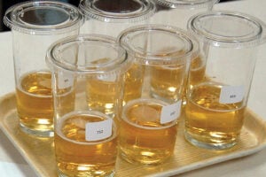 Tasting panel of beer