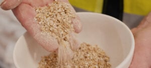 Crushed grain in hand