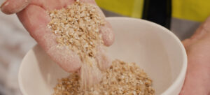 Calculating-the-Grist Crushed grain in hand