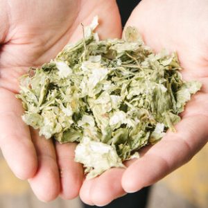 Ingredients Whole leaf hops