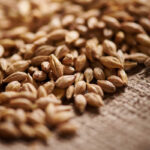 Acidulated malt