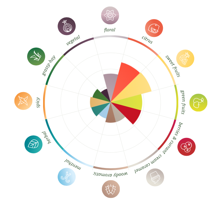 Aroma wheel for Callista Hops