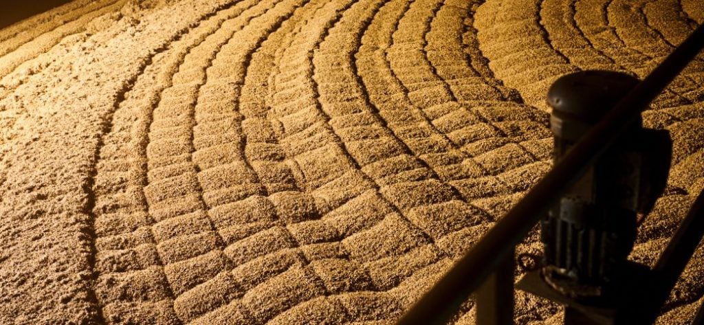 Malting Barley at Simpsons