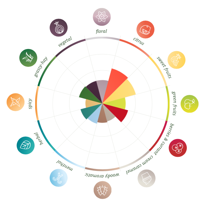 Aroma wheel Eclipse Hops