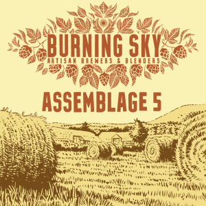 Burning Sky Assemblage 5