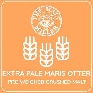 Extra pale Maris Otter malt for brewing