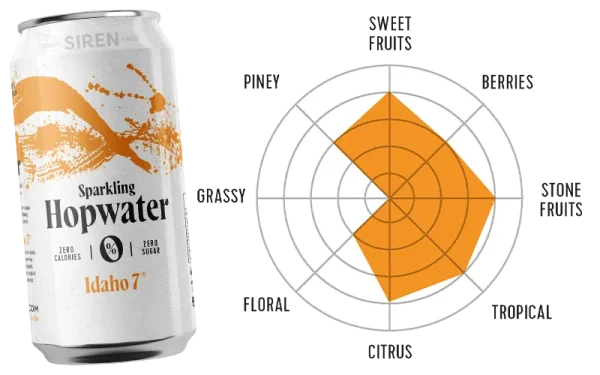 siren-craft-brew-siren-craft-brew-sparkling-hopwater-mixed-pack-1712909343idaho7-spider.png