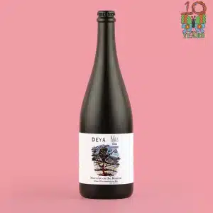 Deya Brewing x Mills Brewing - Meet Me On The Beacon - Mixed Ferm - BB: 31/12/2028