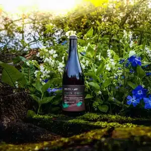 Burnt Mill x The Bruery - Twin Oaks - Mixed Fermentation Sour