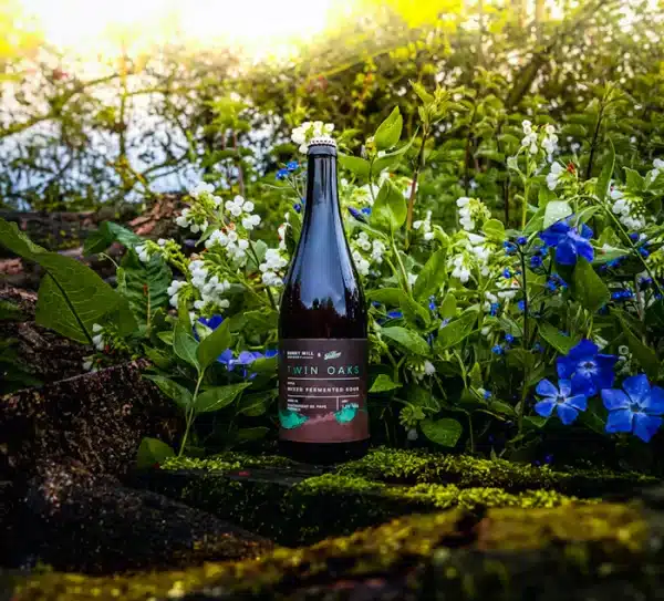 Burnt Mill x The Bruery - Twin Oaks - Mixed Fermentation Sour