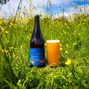Burnt Mill - Mill Meadow - Barrel Aged Mixed Fermentation Sour