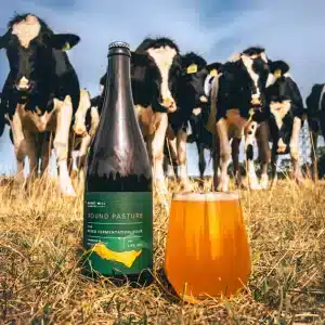 Burnt Mill - Round Pasture - Barrel Aged Mixed Fermentation Sour