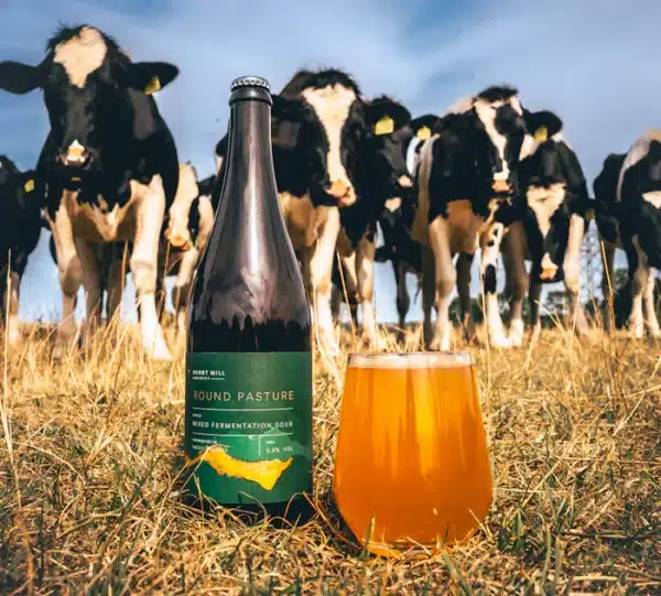 Burnt Mill - Round Pasture - Barrel Aged Mixed Fermentation Sour